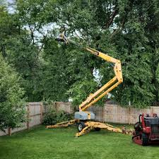 Artificial Turf Installation in Grant Park, IL